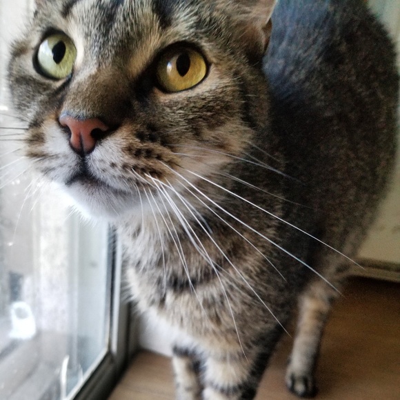 Meet your Posher, Sue - Picture 5 of 8